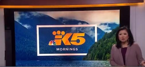 Michelle_Li_KING5_News_Seattle_2019