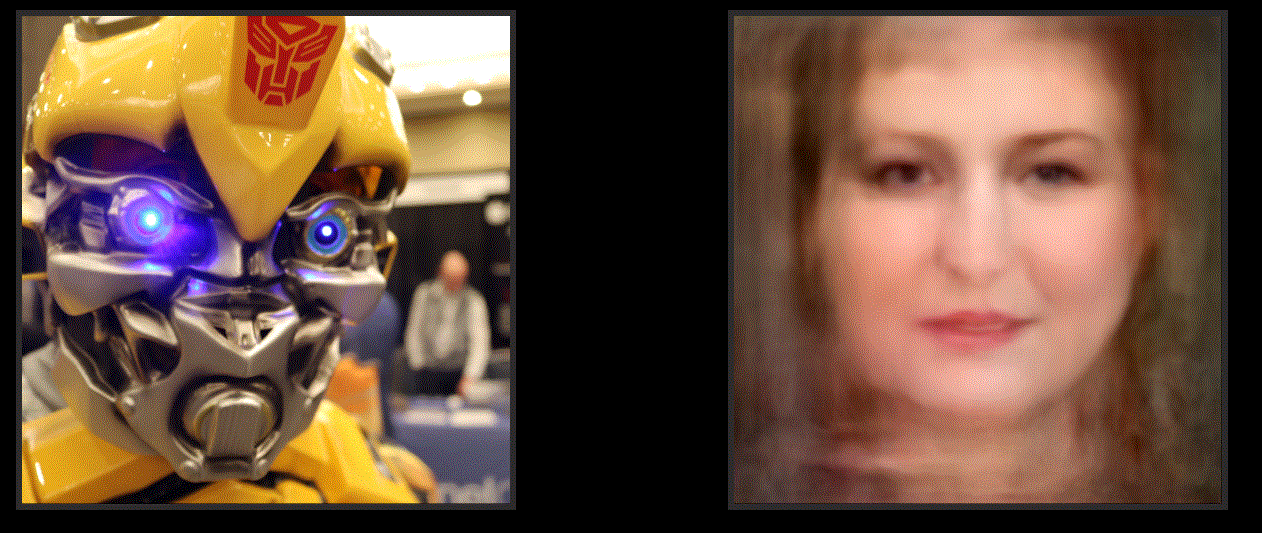 bumblebee-vs-human