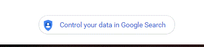 google-data-search2