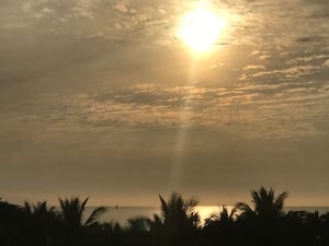 tropical-location
