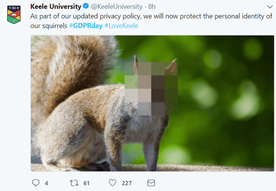 tweet-GDPR-squirrel-privacy
