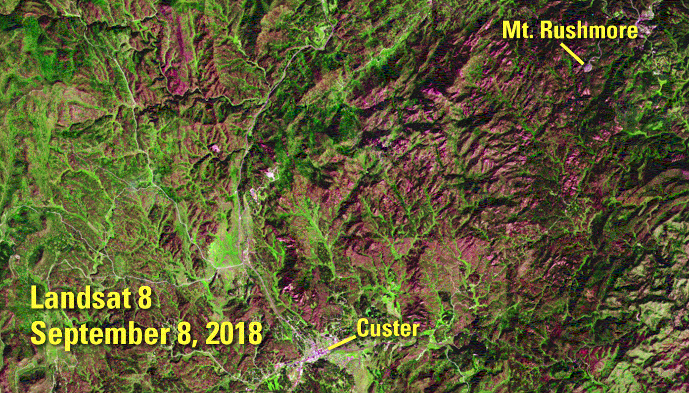 usgs-imagery-beetle-damage